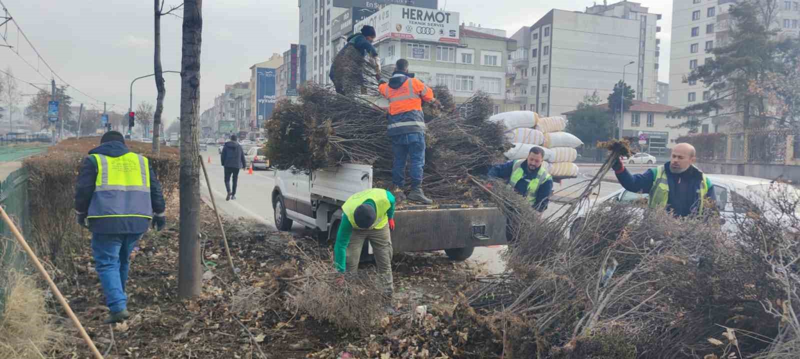 Kayseri büyükşehir, daha temiz ve yeşil Kayseri için çalışıyor
