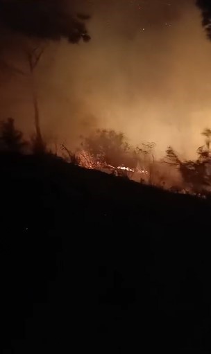 Hatay’da ormanlık alanda çıkan yangın söndürüldü
