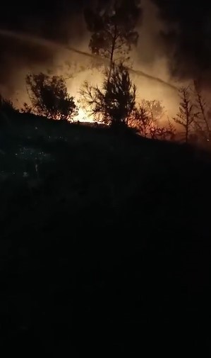 Hatay’da ormanlık alanda çıkan yangın söndürüldü
