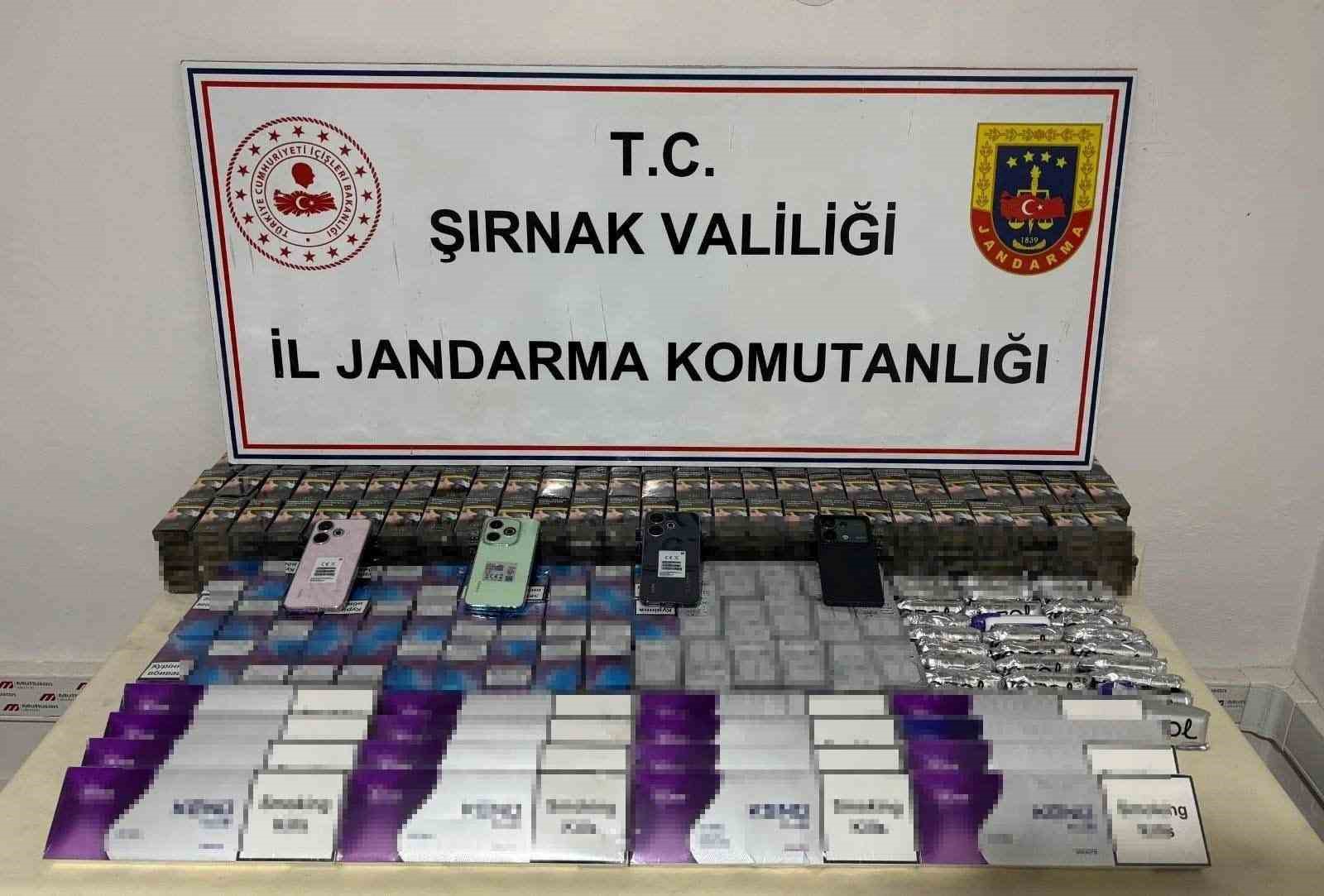 Ev ev değil kaçak ürün deposu: Şırnak’ta jandarmadan kaçakçılık operasyonu, 1 tutuklama
