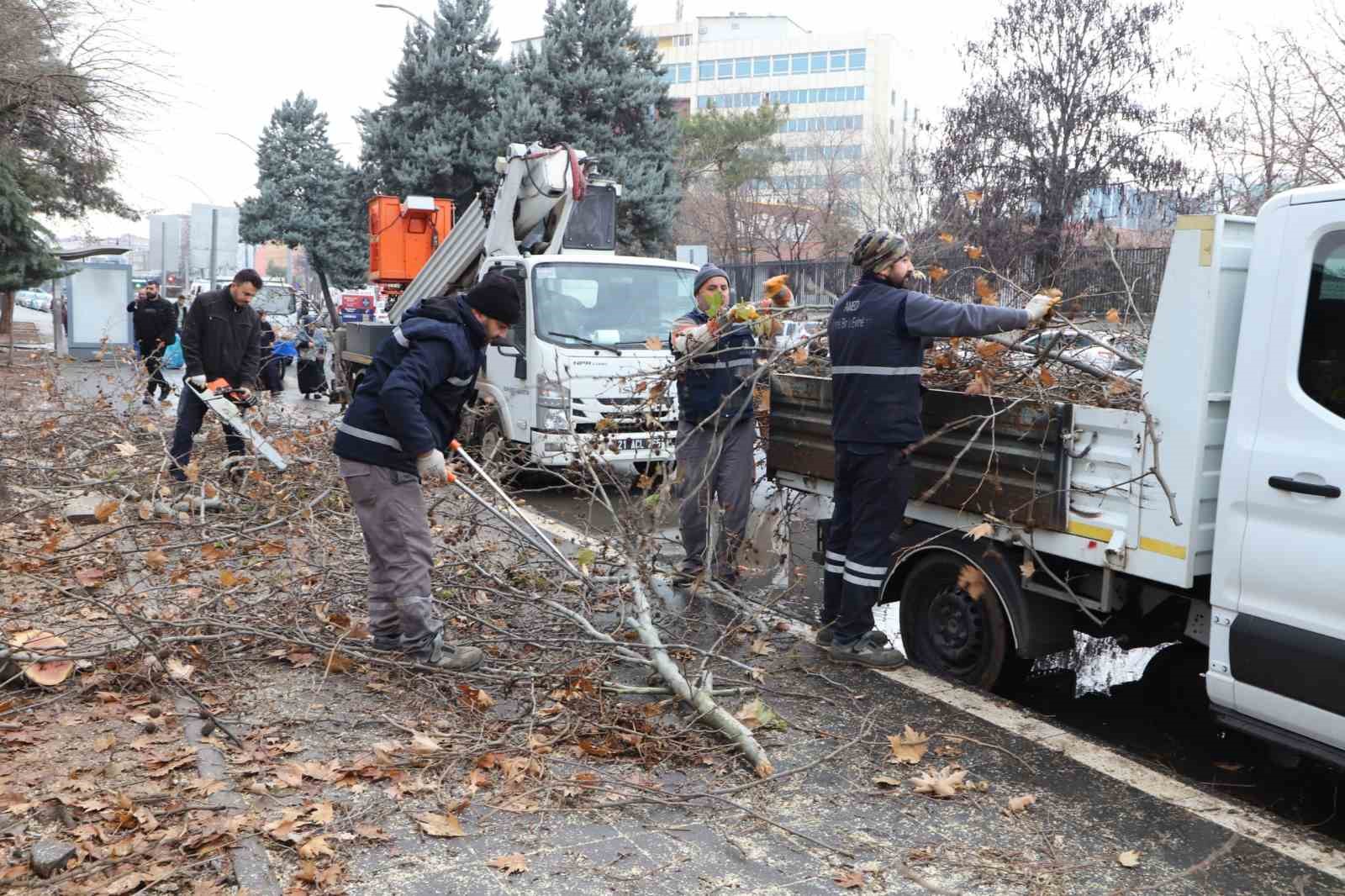 Diyarbakır’da 24 bin 833 ağaç budandı
