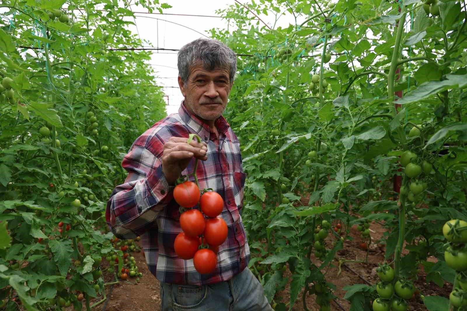 Adana’da mahallede 400 metrekareyle başlayan seracılık 30 dönüme ulaştı
