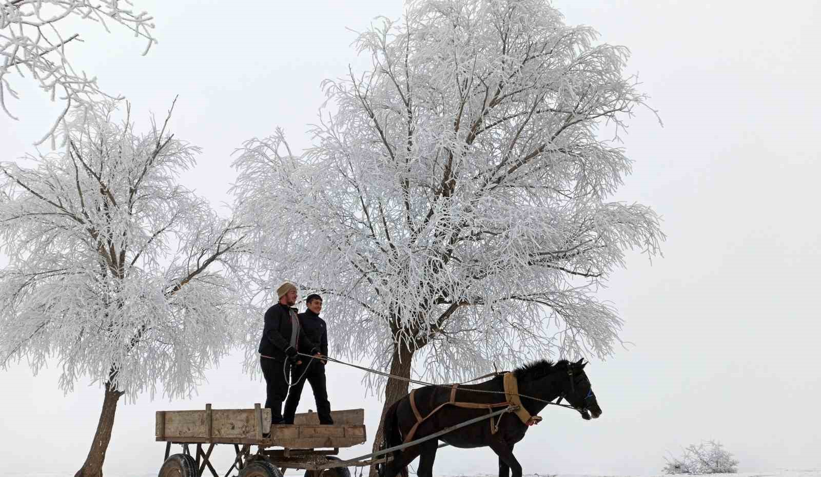 Erzincan’ın Otlukbeli ilçesi buz tuttu!
