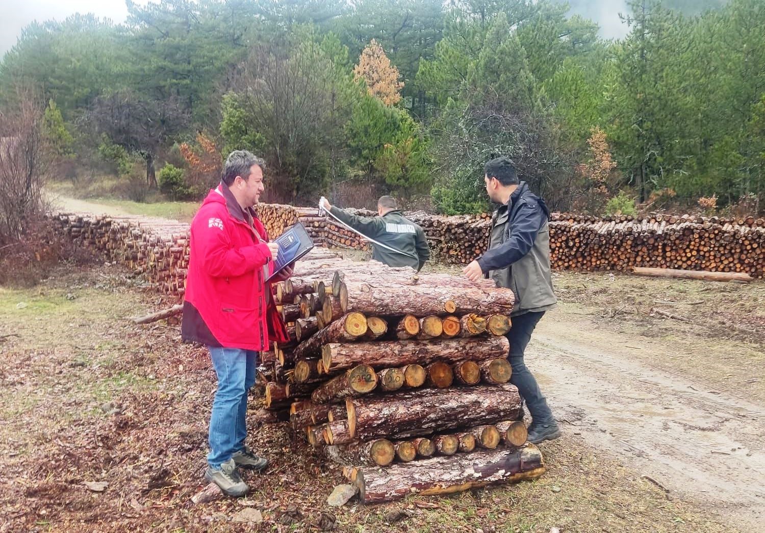 Kütahya’da orman emvallerinin yıl sonu sayımları yapıldı
