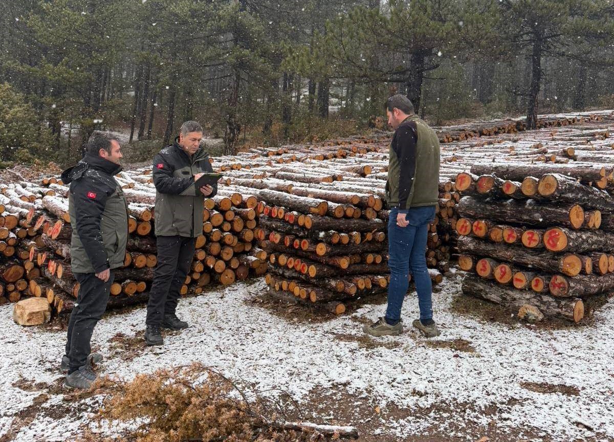 Kütahya’da orman emvallerinin yıl sonu sayımları yapıldı
