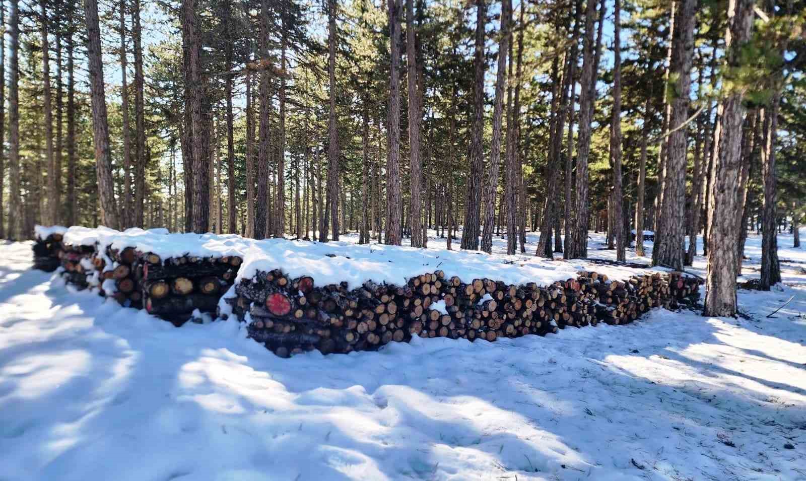 Kütahya’da orman emvallerinin yıl sonu sayımları yapıldı
