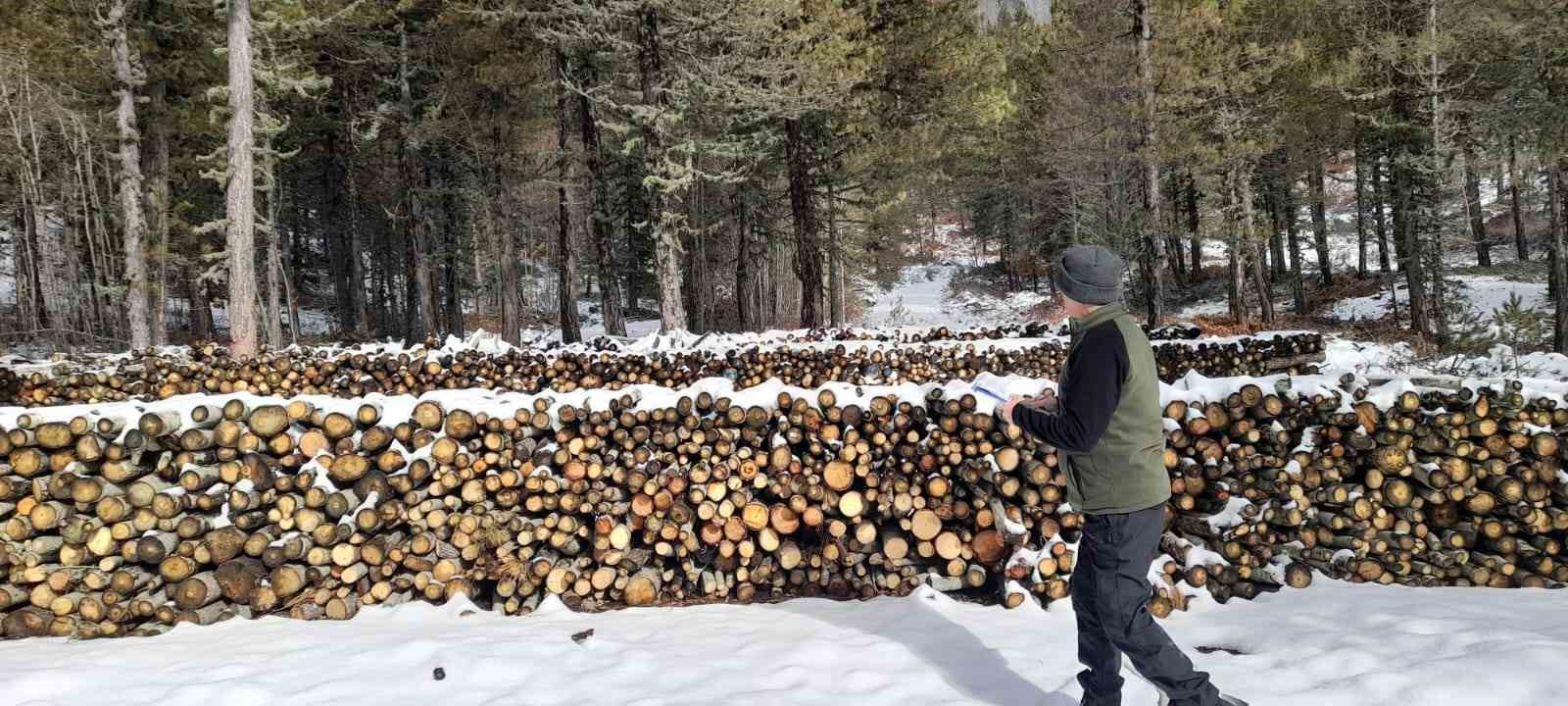 Kütahya’da orman emvallerinin yıl sonu sayımları yapıldı
