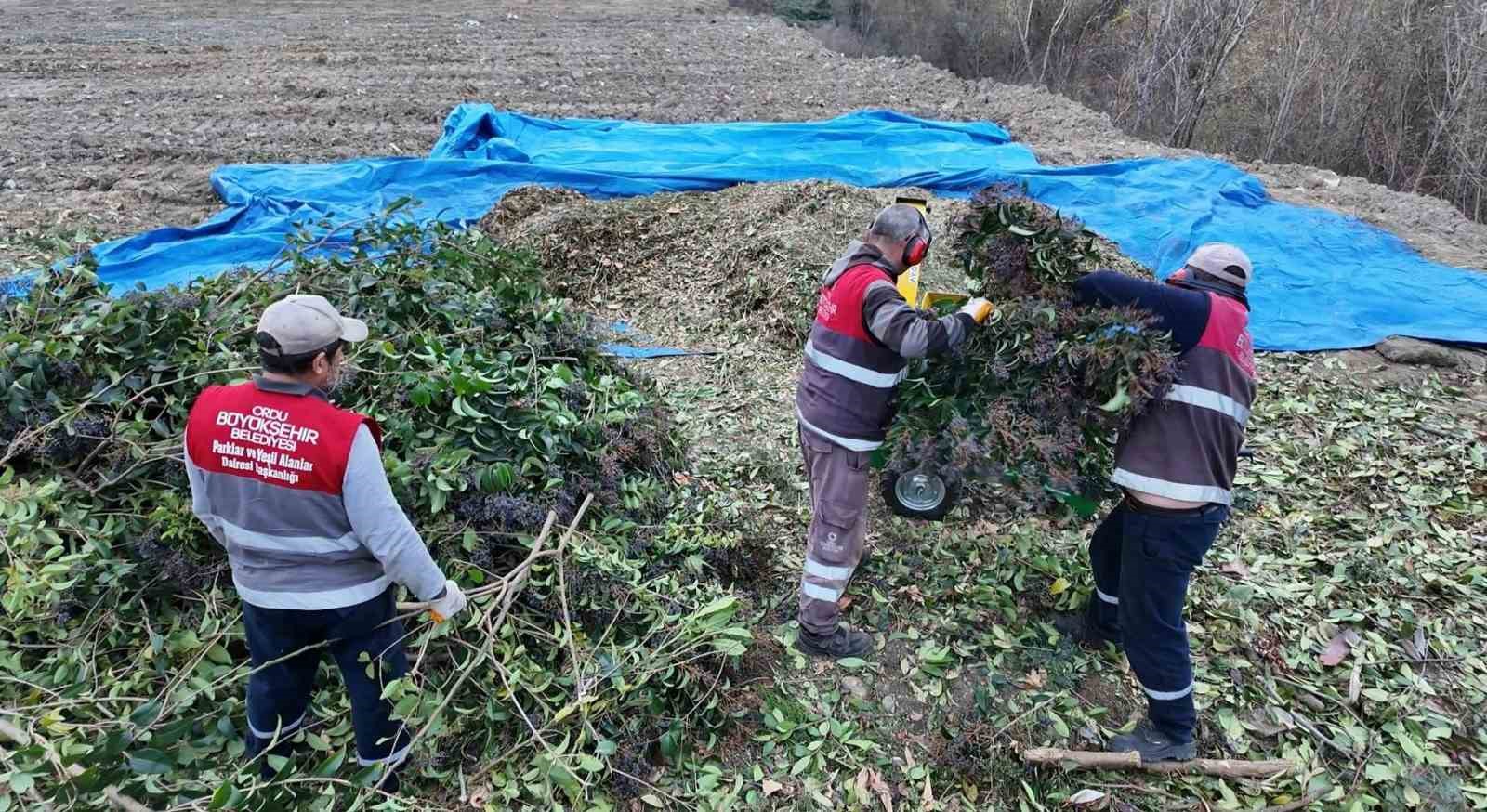 Organik atıklar toprağa geri kazandırılarak verim elde ediliyor
