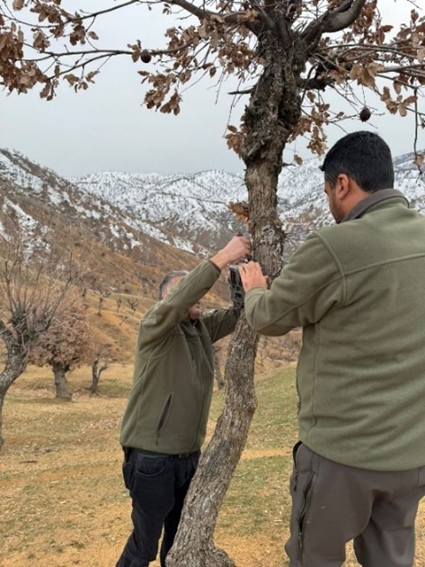 Batman’da yaban hayatını görüntülemek için foto kapanlar kuruldu
