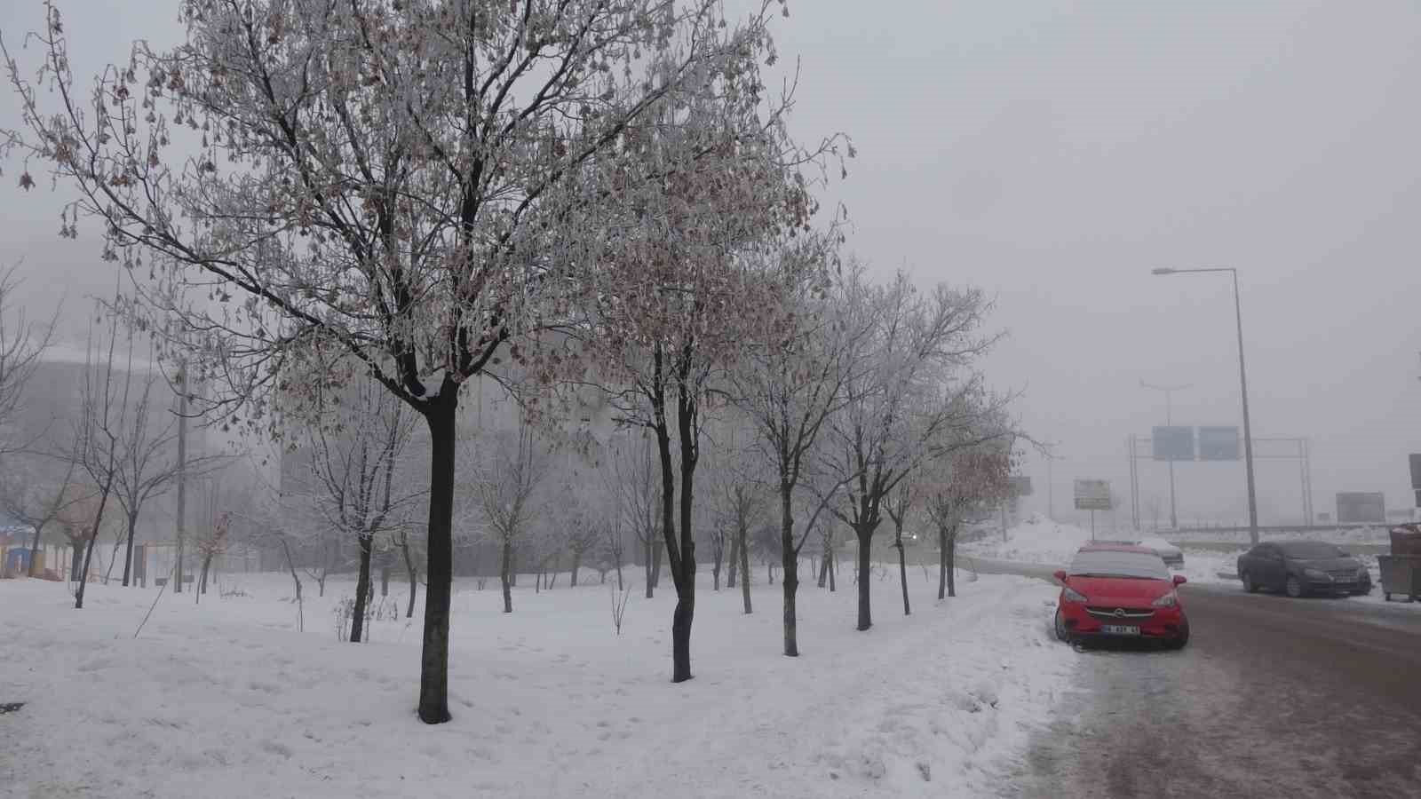 Bitlis’te sis ve dondurucu soğuklar
