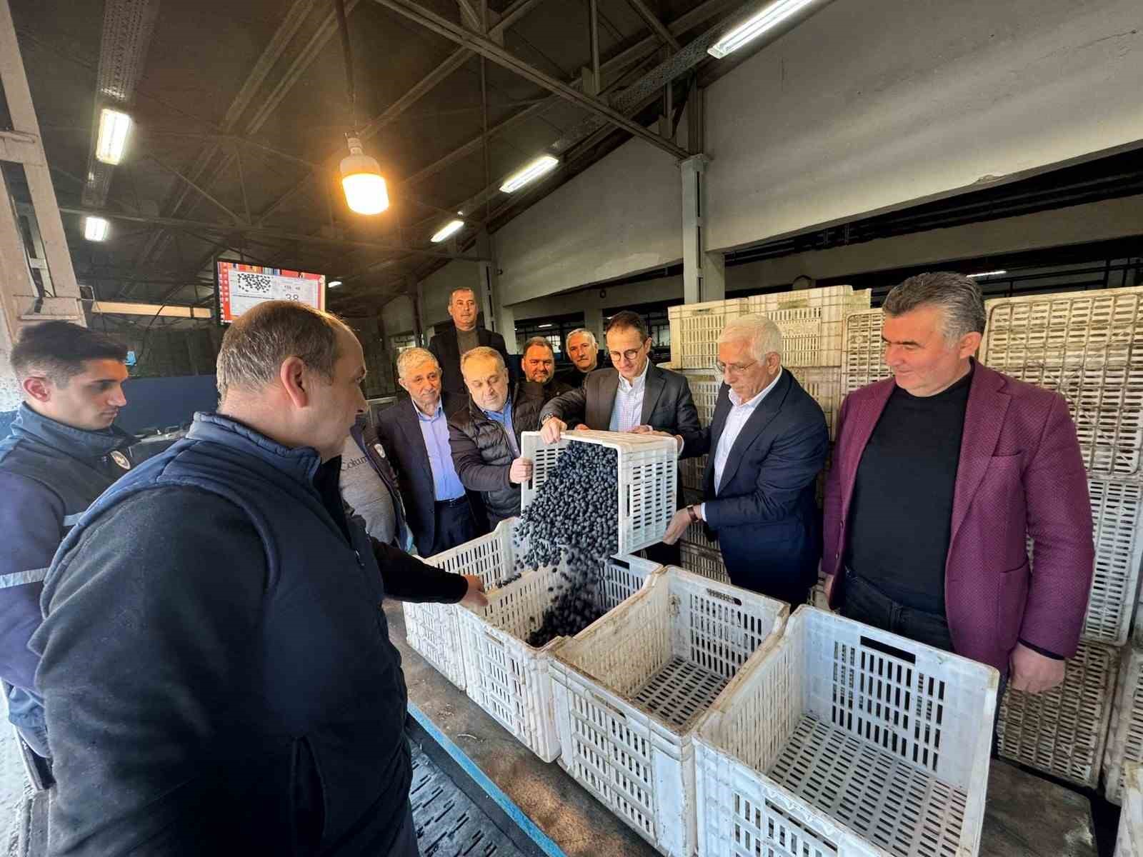 Kaymakam Karaman İznik Zeytin Kooperatifi’ni ziyaret etti
