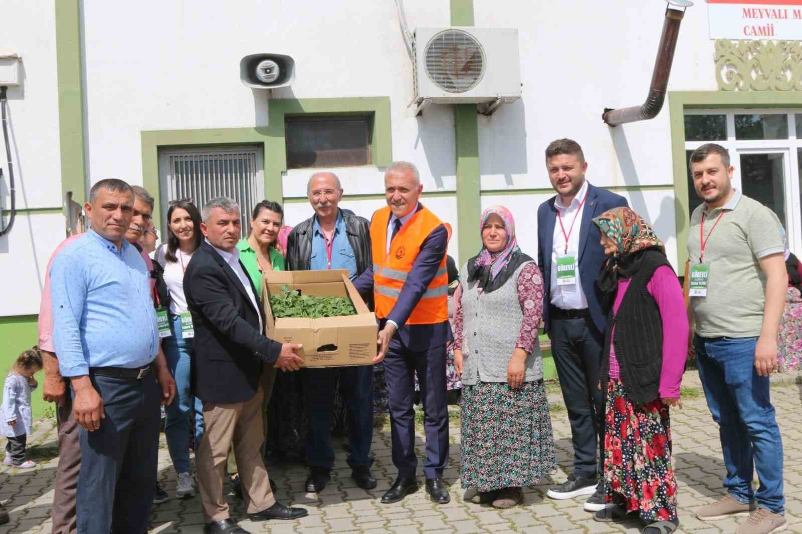 Atakum’da çiftçiye 30 bin sebze fidesi ve tohum desteği
