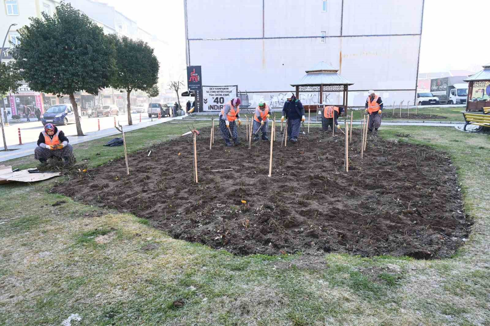 Isparta Belediyesi’nden Gölcük Tabiat Parkı’na destek: 10 bin akasya fidanı dikiliyor
