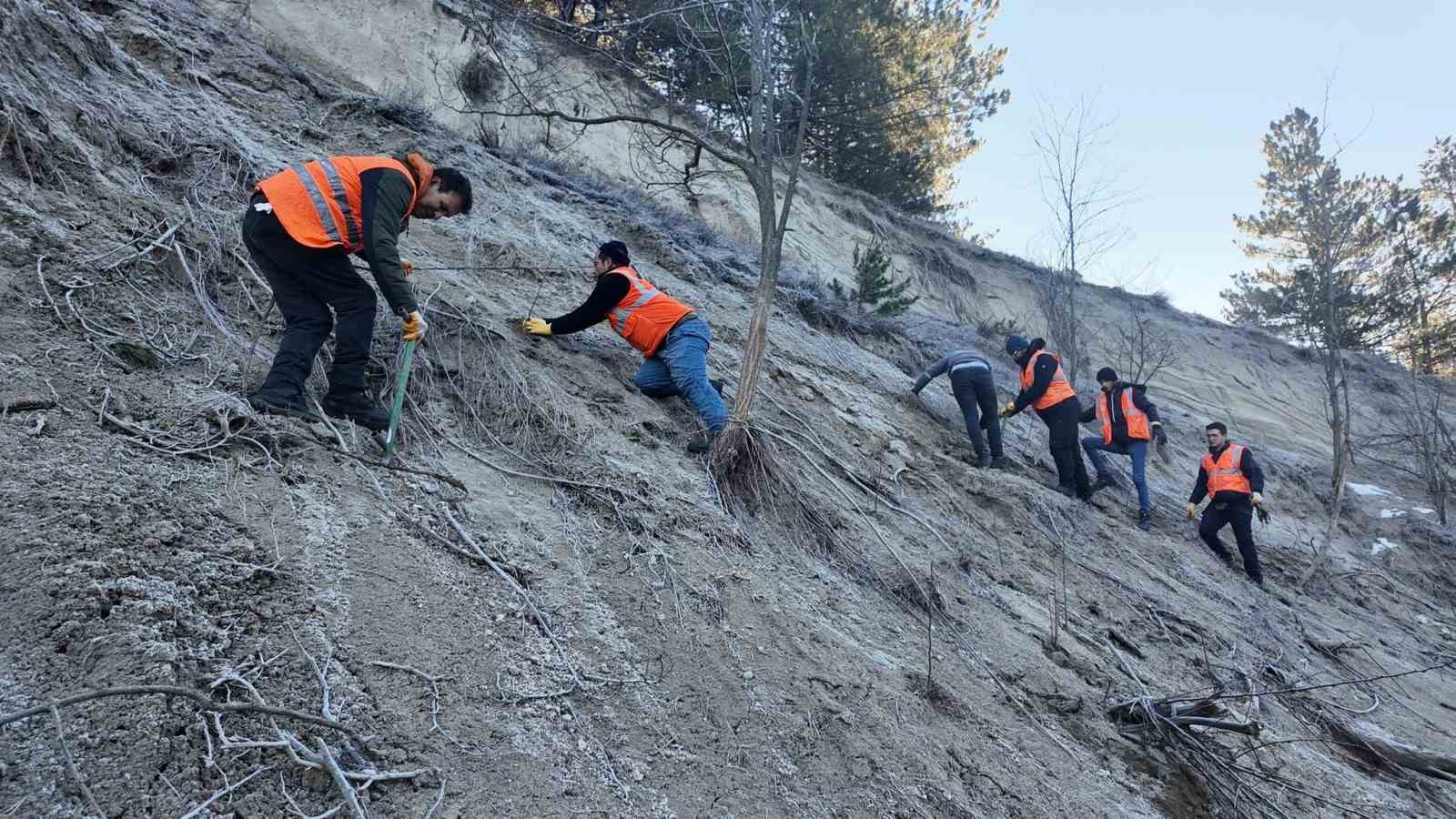 Isparta Belediyesi’nden Gölcük Tabiat Parkı’na destek: 10 bin akasya fidanı dikiliyor
