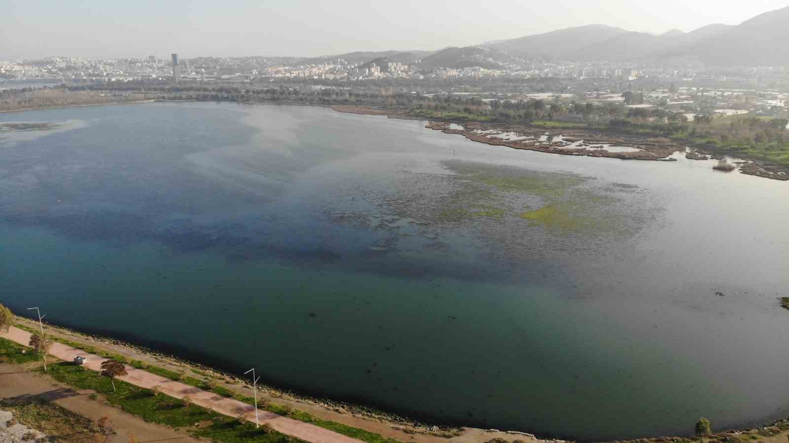 İzmir İnciraltı sahilini deniz marulu sardı
