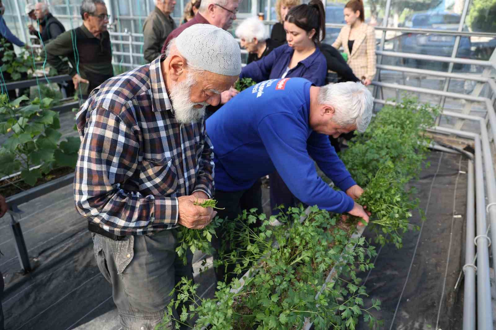 Alzheimer hastalarının umut evi: “Mavi Ev”
