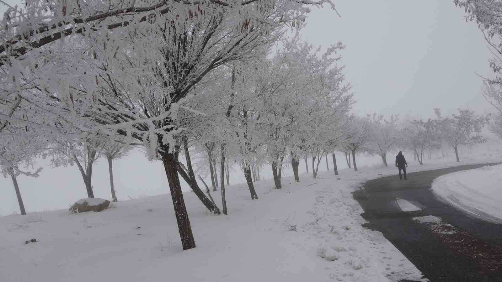 Bitlis’te yoğun sis
