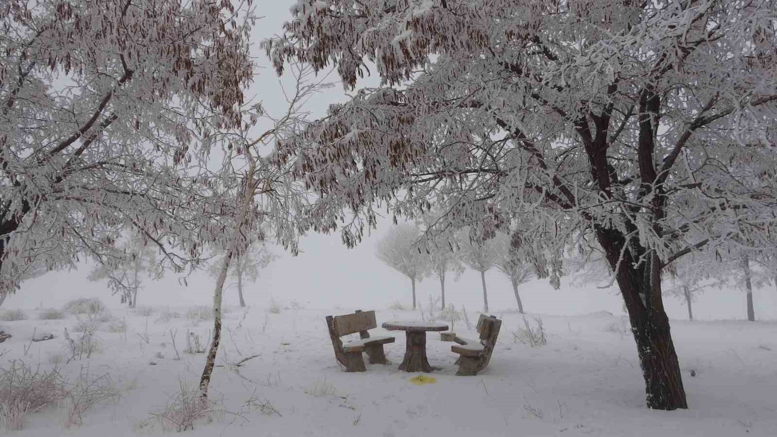 Bitlis’te yoğun sis
