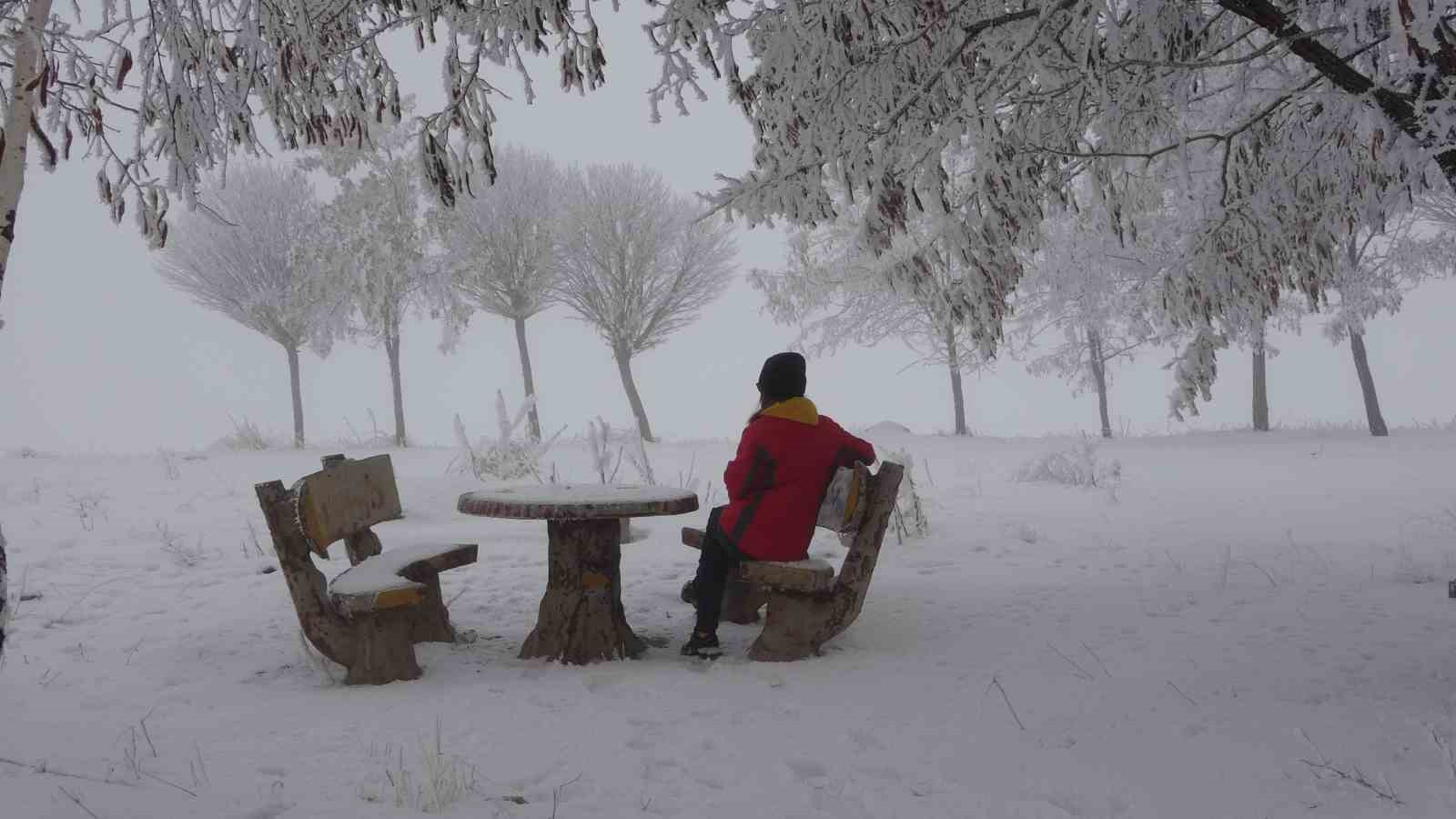 Bitlis’te yoğun sis
