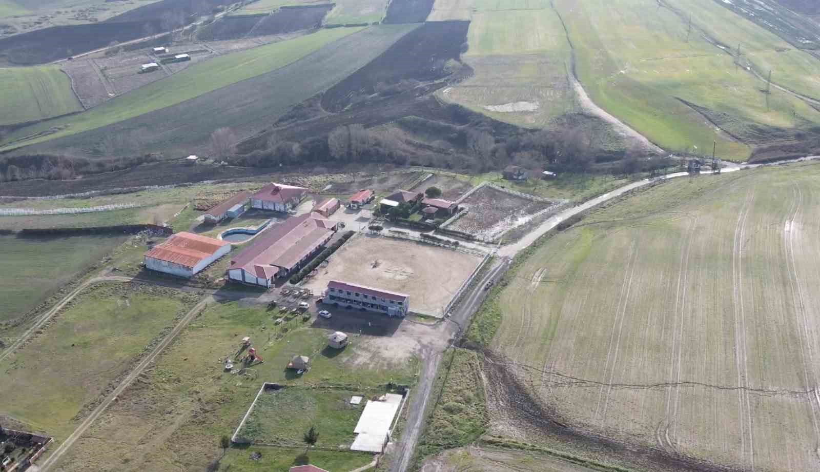 İstanbul’da jandarma aracının çalındığı at çiftliği böyle görüntülendi
