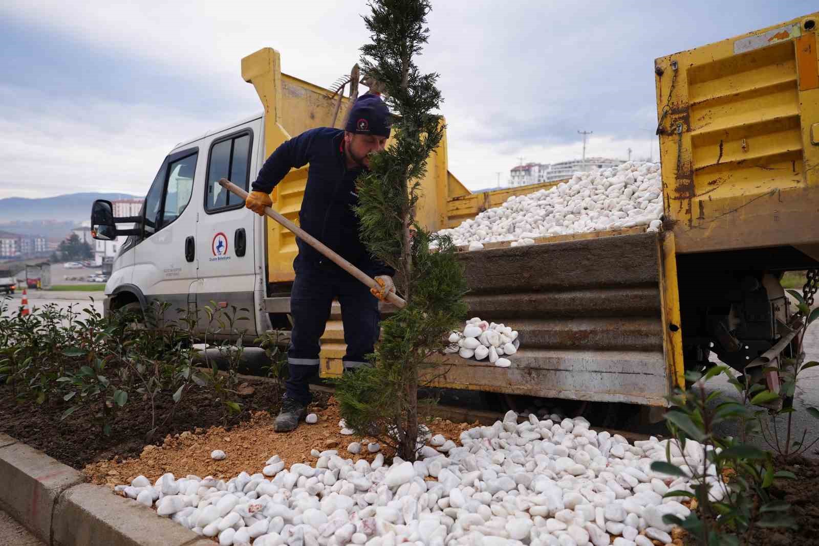 Kampüse çıkan caddelerde estetik düzenleme
