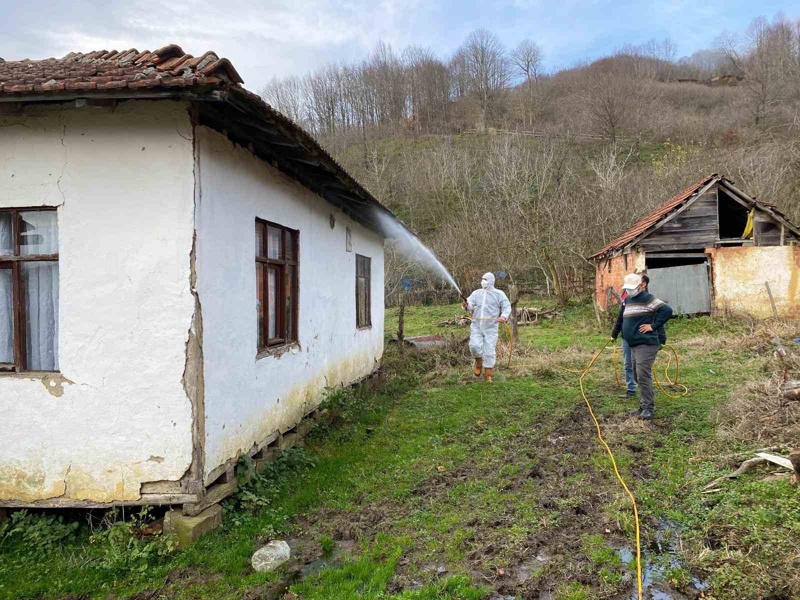 Kahverengi kokarca ile mücadele için her yer ilaçlanıyor
