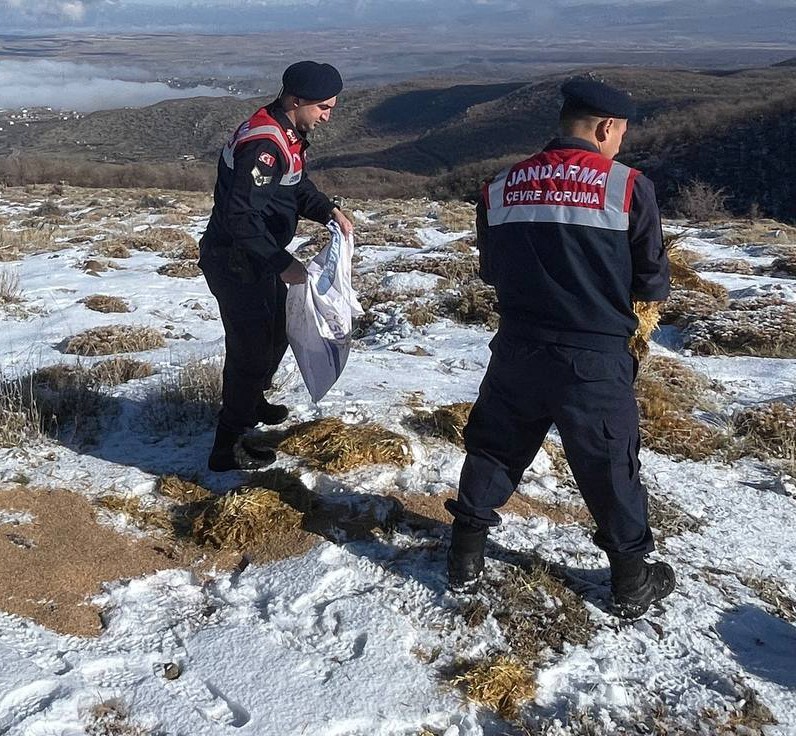 Jandarma ekipleri yaban ve sokak hayvanları için dağlarda
