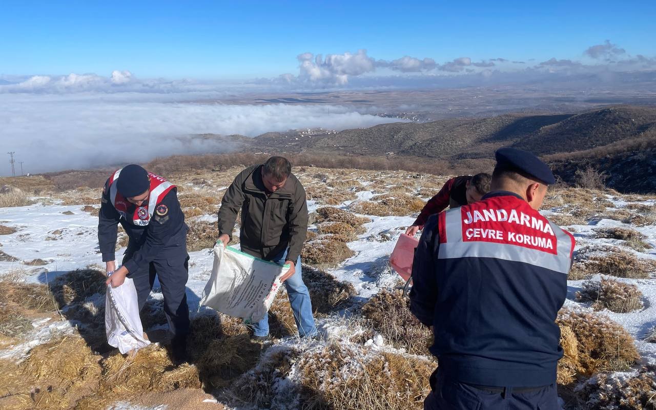 Jandarma ekipleri yaban ve sokak hayvanları için dağlarda
