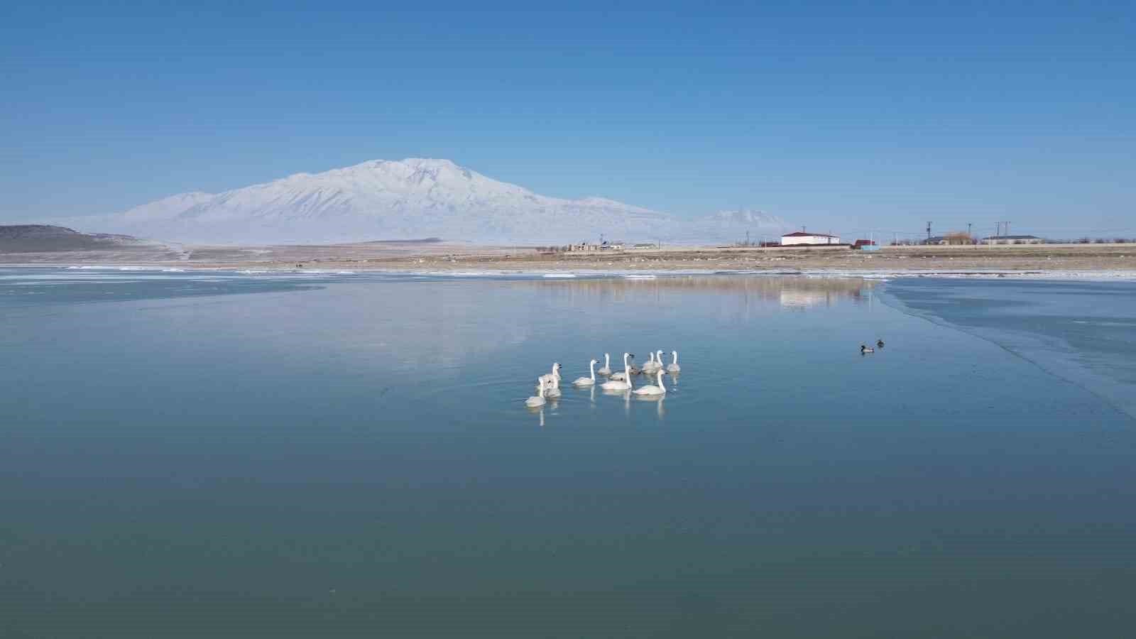 Kuş cenneti kısmen dondu
