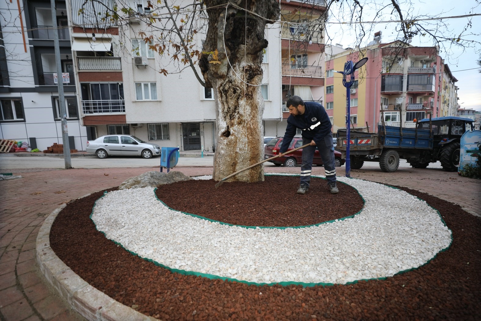 Hem doğaya katkı hem estetik görünüm
