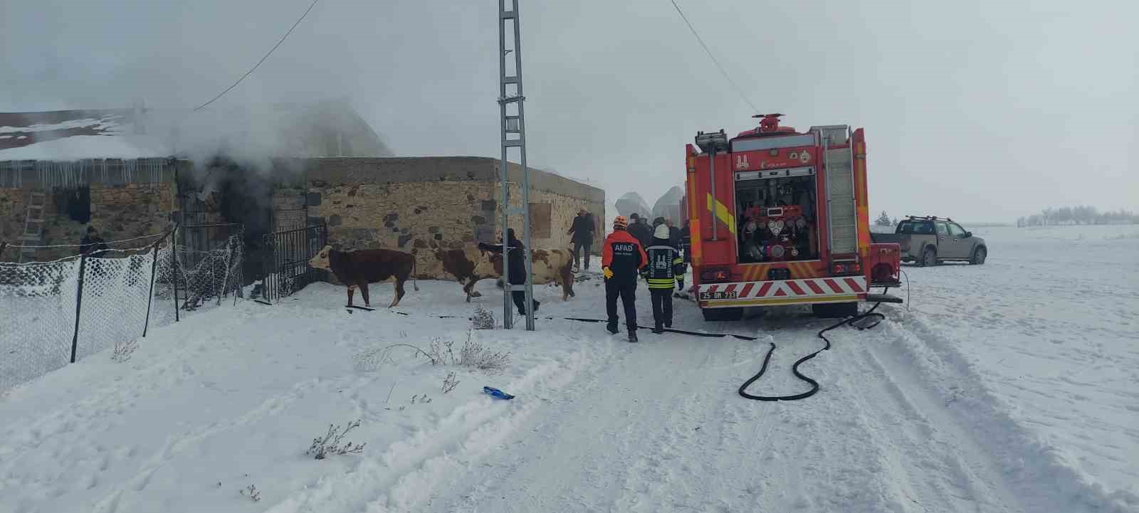 Erzurum’da ahır yangını
