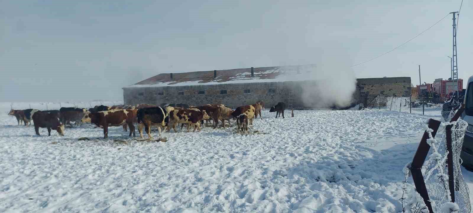 Erzurum’da ahır yangını
