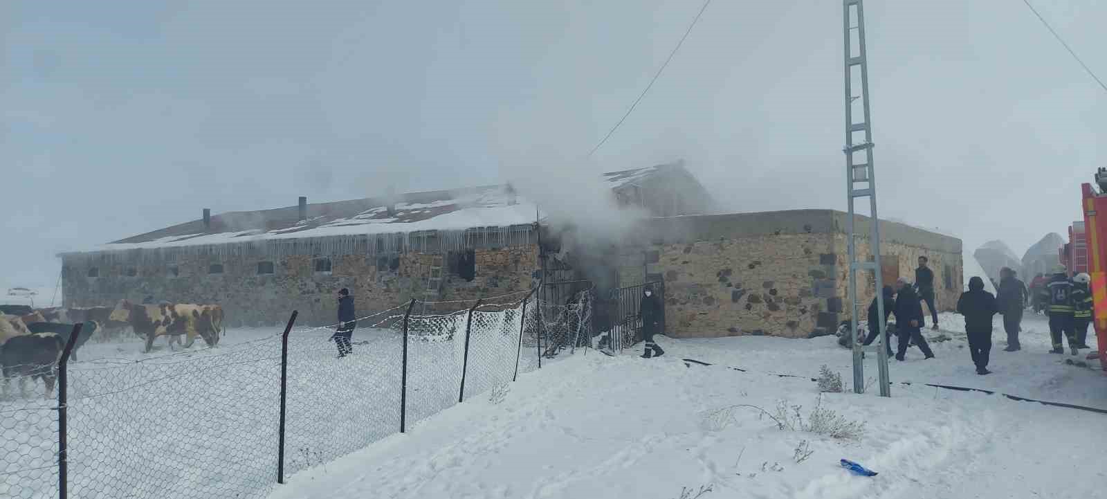 Erzurum’da ahır yangını
