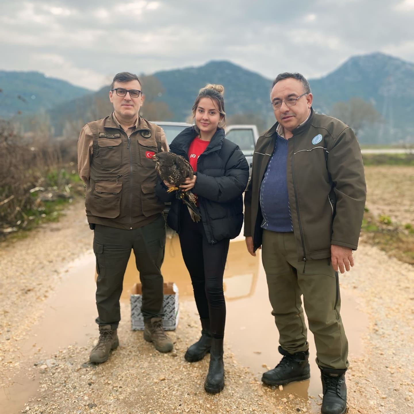 Menteşe’de yaralı Şahin kurtarıldı
