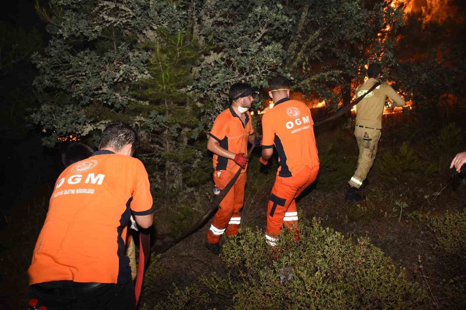 Bursa’da ormanlar küllerinden doğuyor
