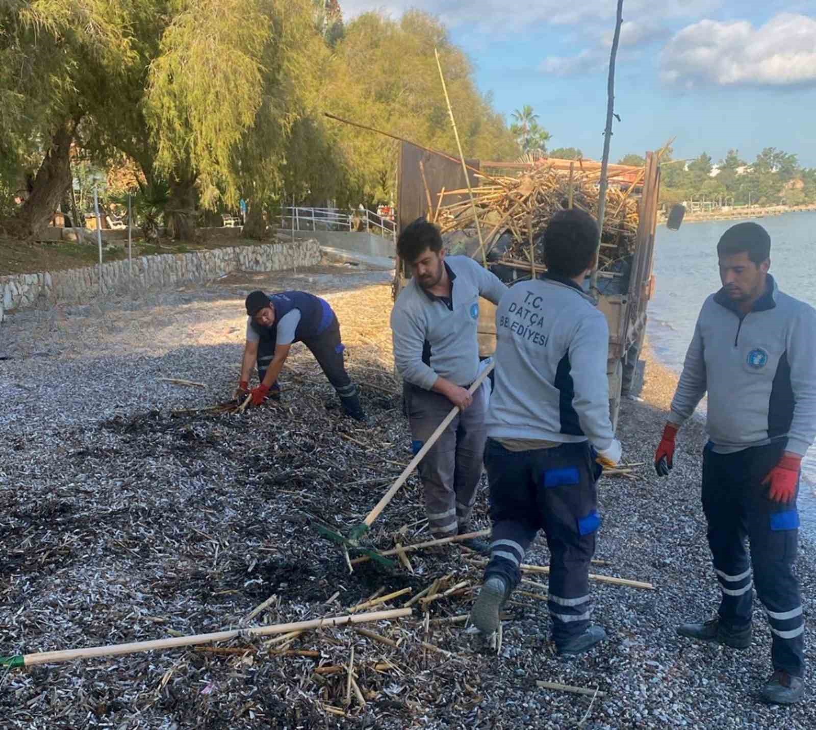 Rodos’un pisliği Datça’yı vurdu
