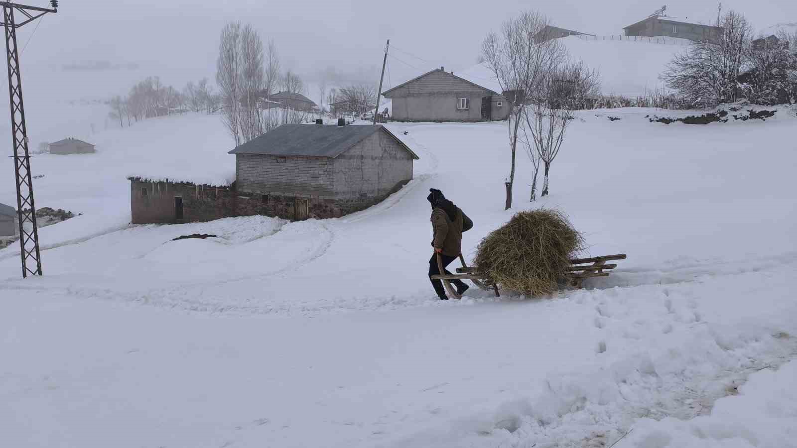 Muş’ta besiciler karla mücadeleye devam ediyor
