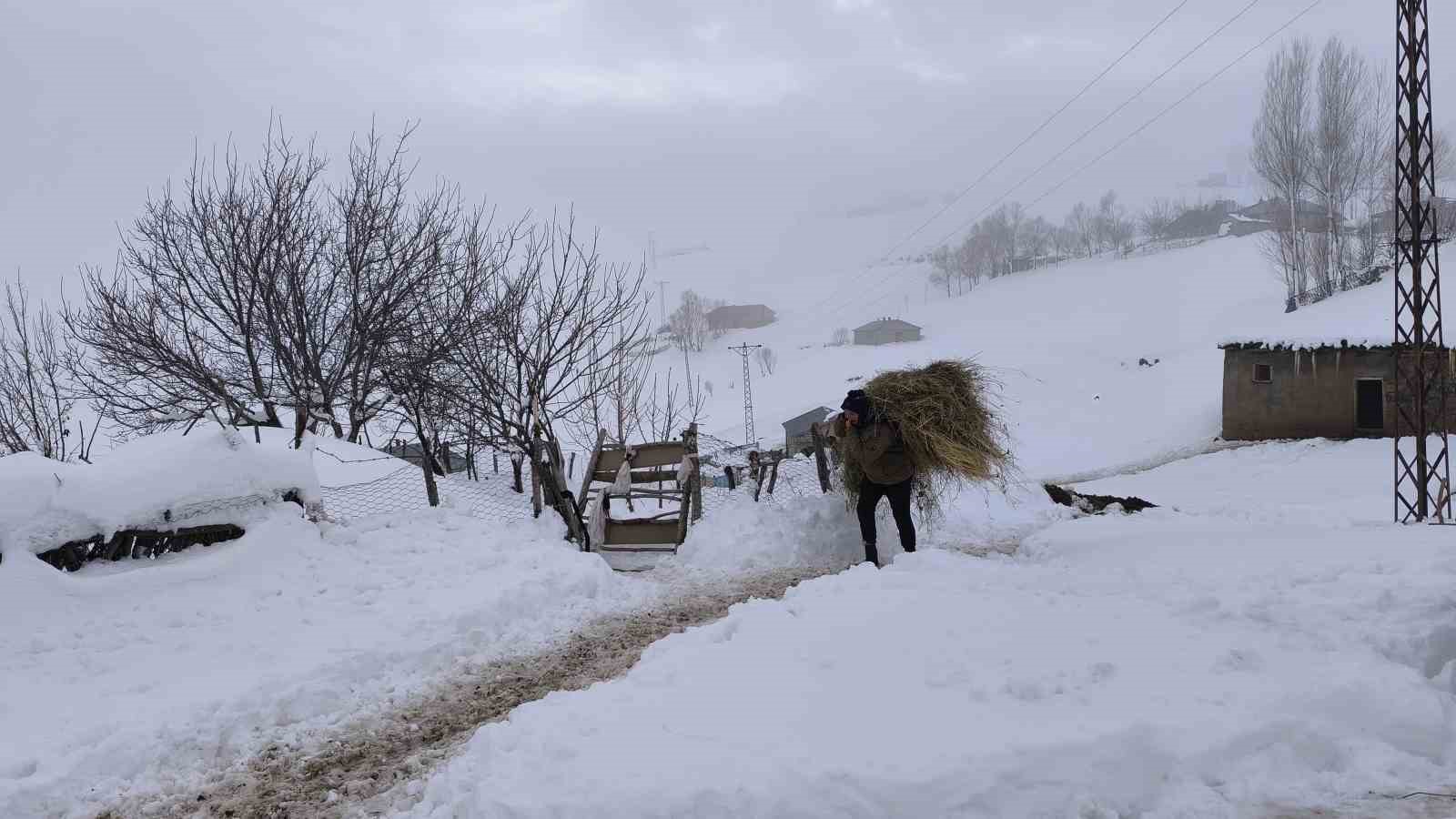 Muş’ta besiciler karla mücadeleye devam ediyor
