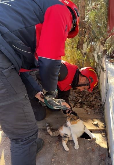 Ayağı tahtaların arasına sıkışan kedinin yardımına itfaiye koştu
