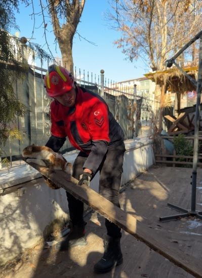 Ayağı tahtaların arasına sıkışan kedinin yardımına itfaiye koştu
