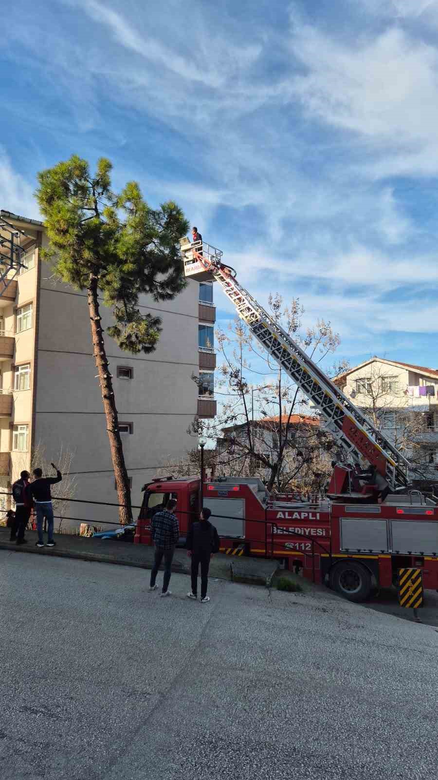 Günlerdir ağaçta mahsur kalan kedi, itfaiyenin çalışmasıyla kurtarıldı
