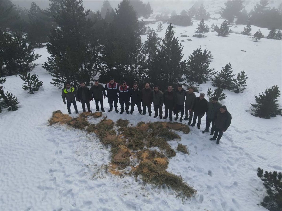 Kazdağları’nda yoğun kar yağışı nedeniyle yaban hayvanlarına yem bırakıldı
