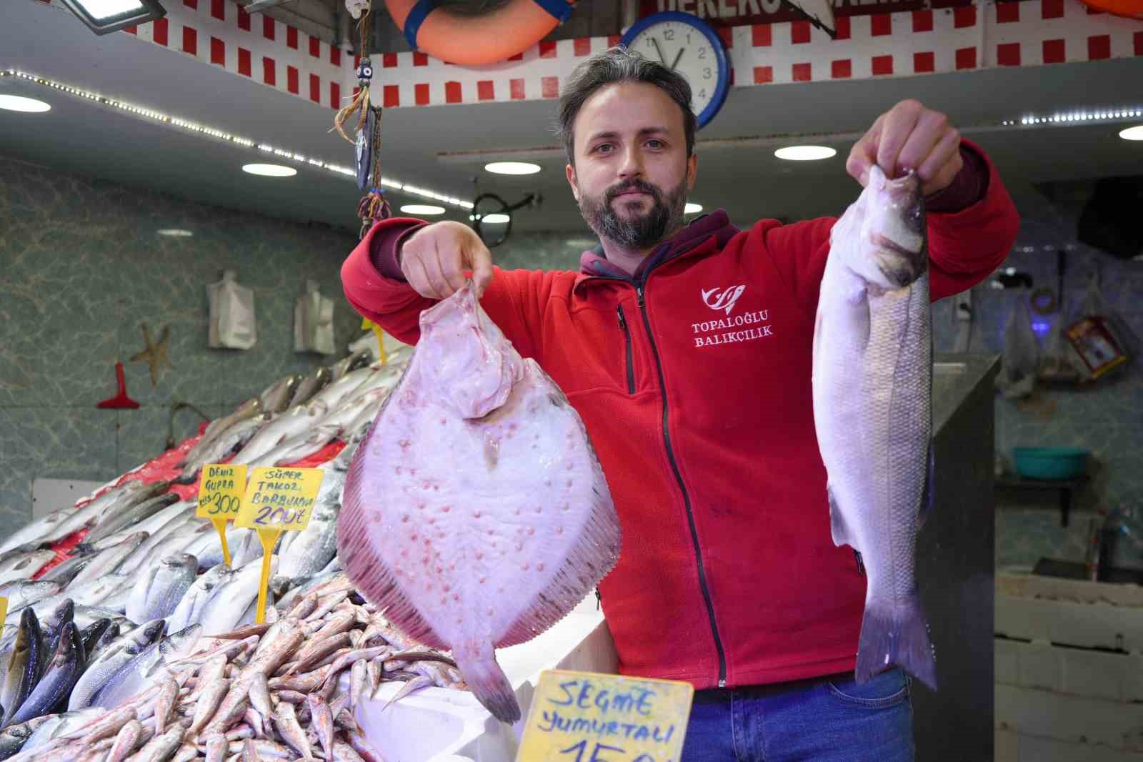 Karadeniz’de mezgit ve istavrit bolluğu
