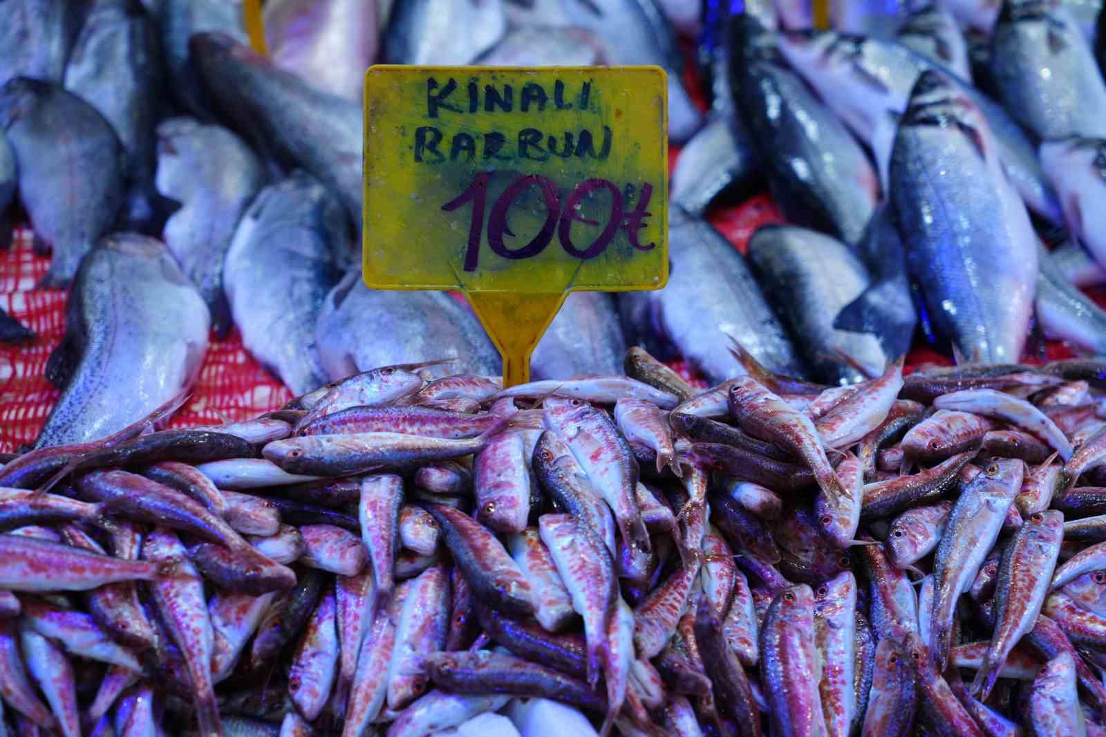 Karadeniz’de mezgit ve istavrit bolluğu
