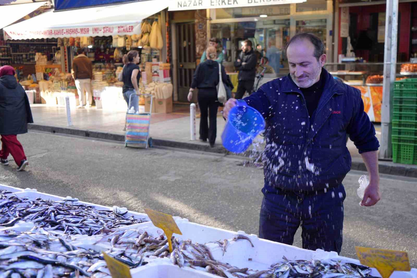 Karadeniz’de mezgit ve istavrit bolluğu
