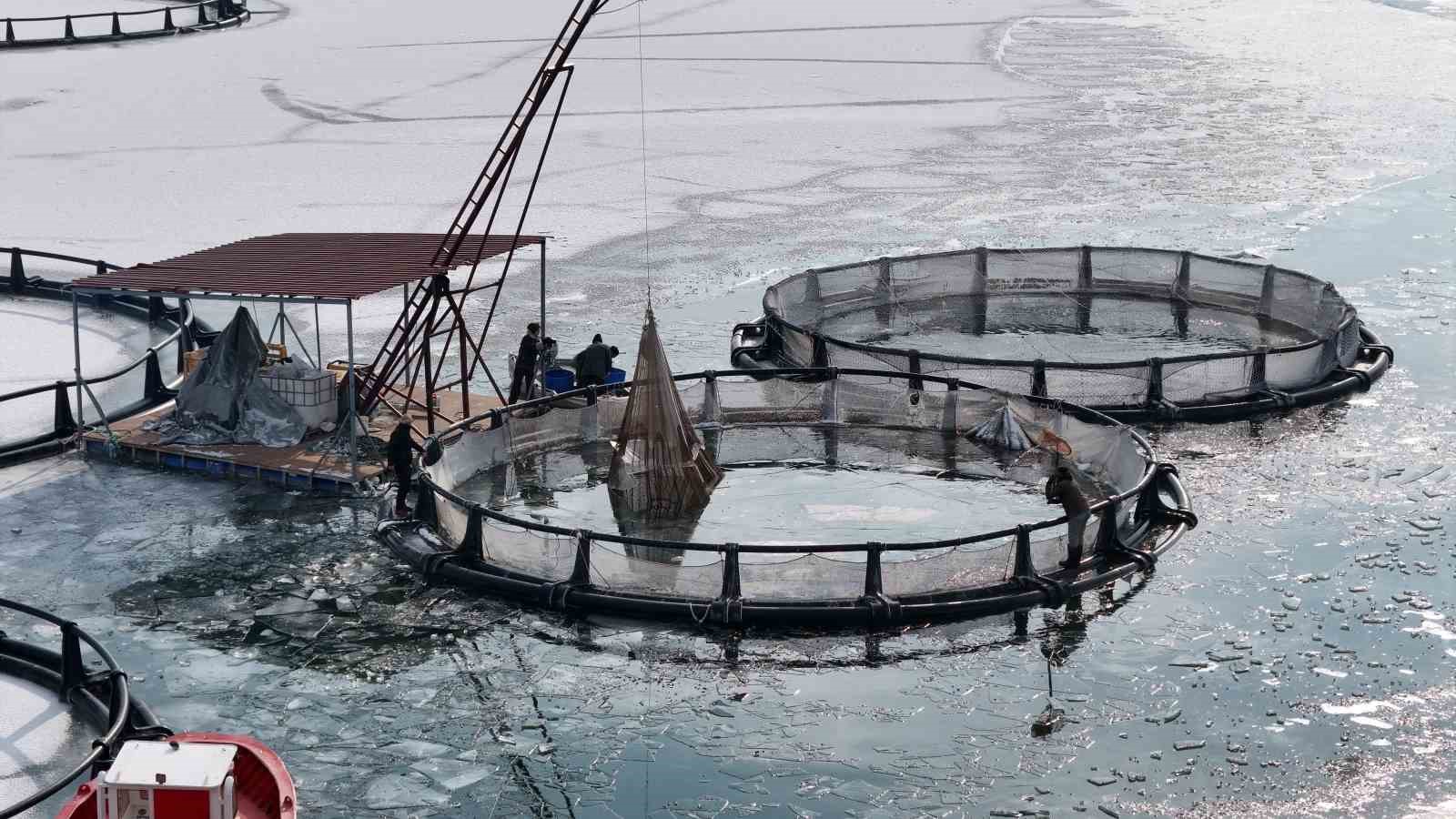 Antarktika değil Erzincan; Belgeselleri aratmayan görüntülerle buz tutan gölde balıkçılık serüveni
