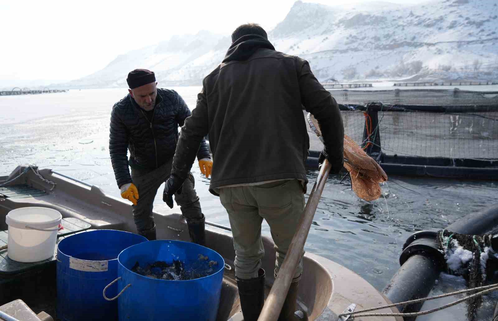 Antarktika değil Erzincan; Belgeselleri aratmayan görüntülerle buz tutan gölde balıkçılık serüveni
