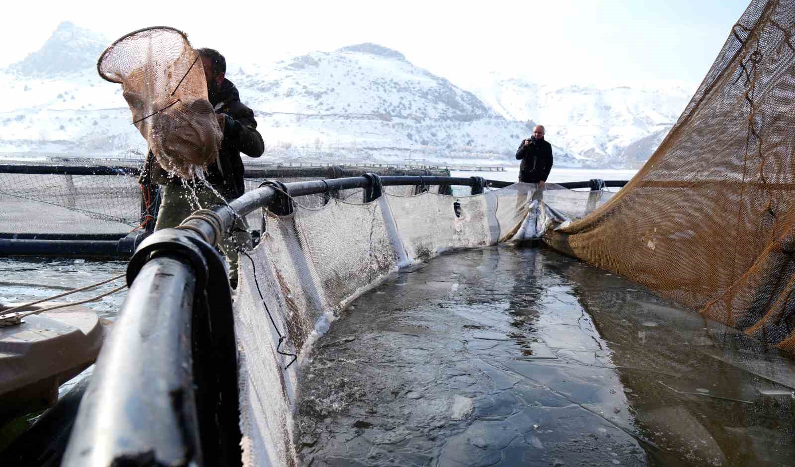 Antarktika değil Erzincan; Belgeselleri aratmayan görüntülerle buz tutan gölde balıkçılık serüveni
