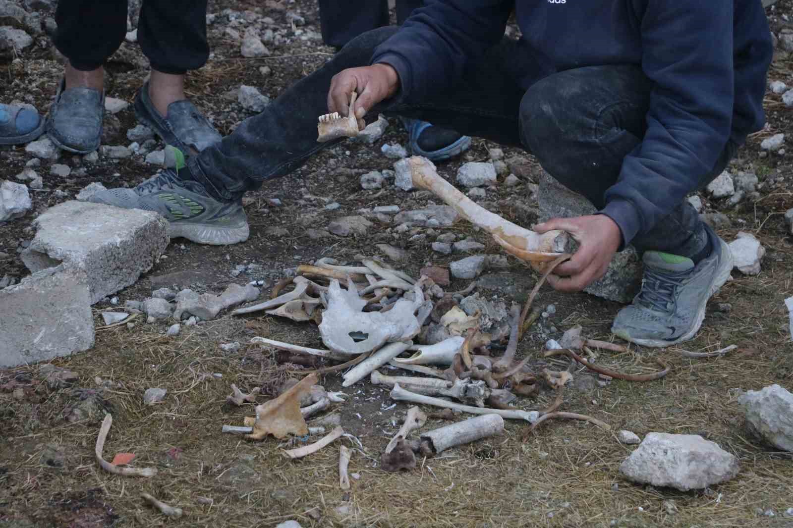 Suriye’de enkaza dönen Tadomon Mahallesi’nden korkunç görüntüler: Binaların altından insan kemikleri çıkıyor
