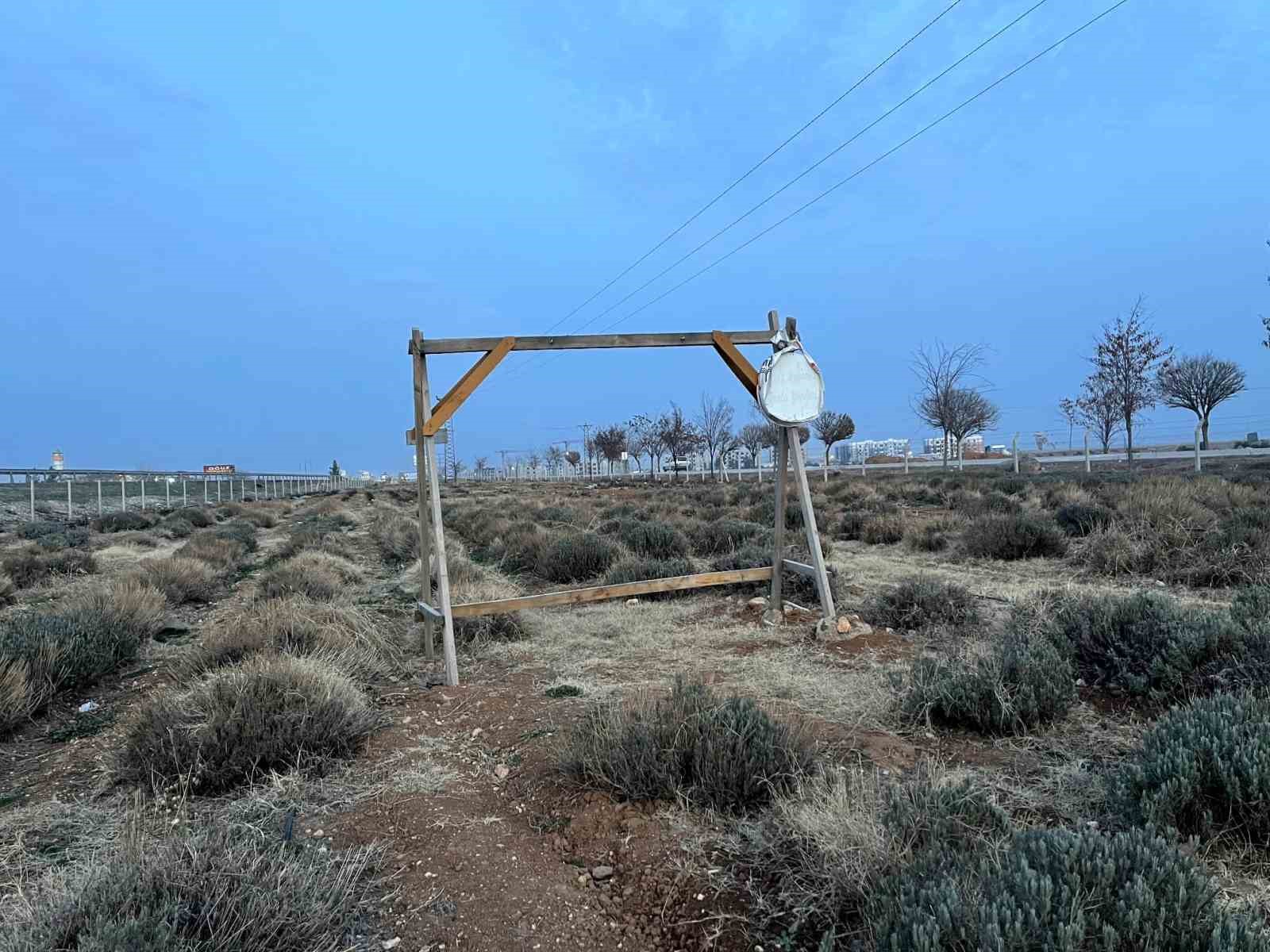 Lavanta bahçesine kilit vuruldu
